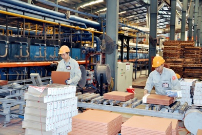 Quảng Ninh nâng cao năng suất chất lượng giai đoạn 2016-2020