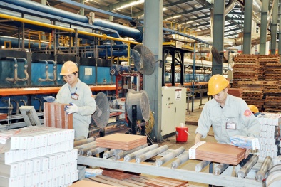Quảng Ninh: Chỉ gần 100 Link Đăng Nhập Nhà cái 13Win16.Com áp dụng các công cụ cải tiến năng suất chất lượng