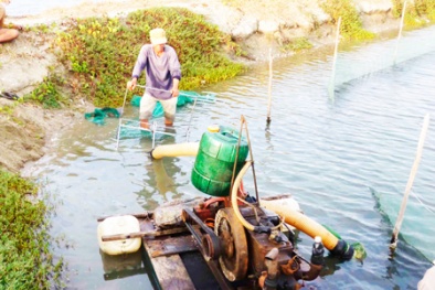 Khánh Hòa: Áp dụng khoa học kỹ thuật vào sản xuất, kết quả bất ngờ