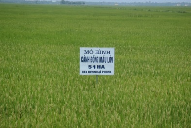 Quảng Bình đặt mục tiêu năng suất, chất lượng cao trong sản xuất Đăng ký và nhận 60K 24 bao lì xì miễn phí mỗi ngày