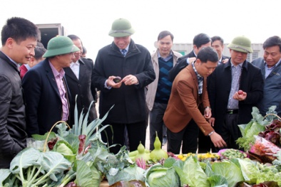 Đẩy nhanh tiến độ thi công Dự án Khu Đăng ký và nhận 60K 24 bao lì xì miễn phí mỗi ngày ứng dụng công nghệ cao Đông Triều