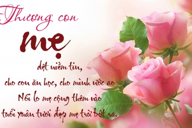 Những lời chúc 8/3 ý nghĩa nhất dành tặng mẹ yêu