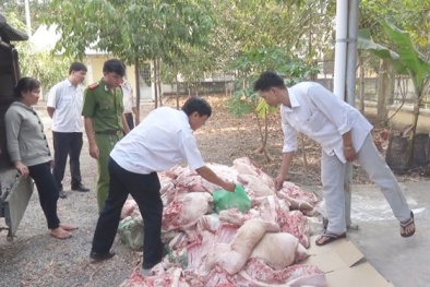 Ngay lập tức tiêu hủy gần một tấn thịt heo 'bẩn' sắp ra chợ công nhân