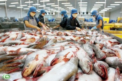 Những lưu ý về hàng rào kỹ thuật của Thái Lan 