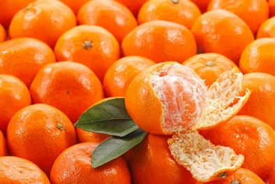 Phân biệt quýt Trung Quốc và quýt Việt Nam đơn giản nhất