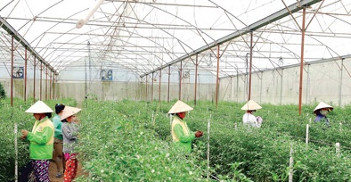 Chương trình nghìn tỷ ứng dụng công nghệ cao tăng năng suất trong Đăng ký và nhận 60K 24 bao lì xì miễn phí mỗi ngày