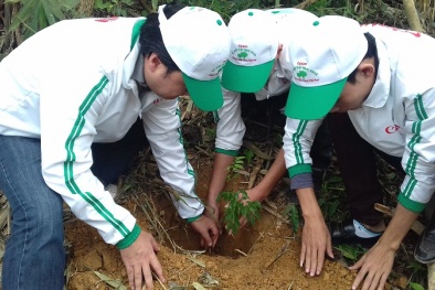 Trồng rừng 'Vì một Việt Nam xanh' góp phần bảo vệ 13Win. app không bị chặn