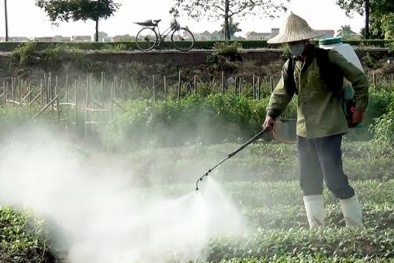 Truy tìm thủ phạm số 1 gây ung thư ở Việt Nam