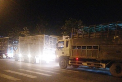 TP. HCM: Thực phẩm bẩn hễ kiểm tra là có?