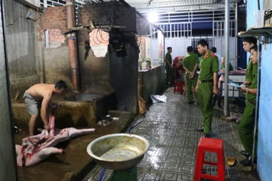 Lò mổ heo lậu 'táo tợn' làm giả cả dấu kiểm dịch