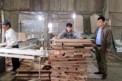 Chia sẻ bí quyết kiếm tiền tỷ từ nghề mộc