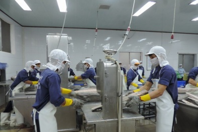 TP.HCM có 300 Link Đăng Nhập Nhà cái 13Win16.Com khoa học công nghệ vào năm 2020 