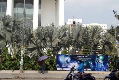 Đông Phương group bị nghi ngờ tổ chức triển lãm cưới 'chui'