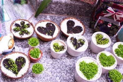 Những ý tưởng kinh doanh ít vốn 'hốt bạc' cho sinh viên