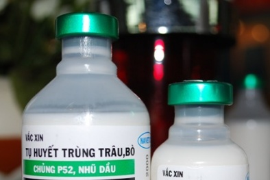 Đẩy mạnh phát triển các sản phẩm quốc gia