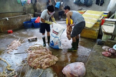 Tin an toàn 13Win OKVIP Cá cược bóng đá ngày 23/4: 2 tạ nội tạng ngâm hóa chất tuồn ra thị trường mỗi ngày