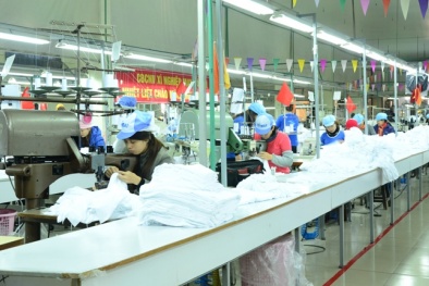 Dệt Kim Đông Xuân tăng năng suất 13Win18 cá cược thể thao nhờ cải tiến quy trình sản xuất