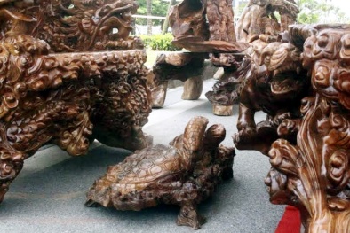 Đại gia trẻ Tuyên Quang khoe bộ ghế gỗ nghìn tuổi