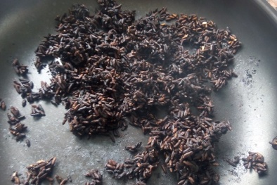 Nghi vấn gạo giả, cháy khét như nhựa ở Quảng Trị