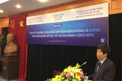 Khởi tố 381 vụ án về xâm phạm quyền sở hữu trí tuệ