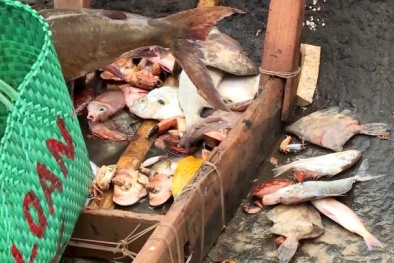 15/17 mẫu nước biển Quảng Trị nằm trong giới hạn cho phép 