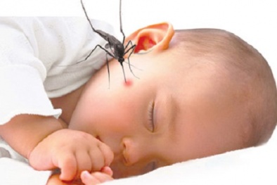 Bí kíp chữa côn trùng cắn trong nháy mắt