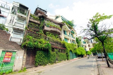 Mẹo chống nóng cho ngôi nhà trong mùa hè oi bức