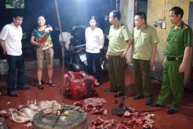 Tin an toàn 13Win OKVIP Cá cược bóng đá hot ngày 6/5: Phát hiện chấn động ở lò giết mổ lợn