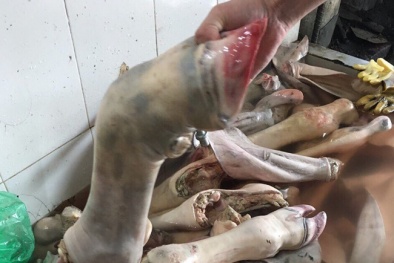 Vó bò, nội tạng thối và nguy cơ ung thư bên… bàn nhậu