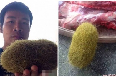 Lại phát hiện ‘cát lợn’ nặng 2,8kg gây xôn xao dư luận