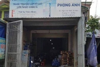 Đánh cả xe tải 5 tấn đi... ăn trộm sữa