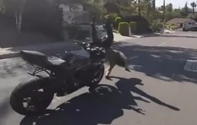 Trổ tài bốc đầu, tài xế Biker gặp tai nạn thảm khốc