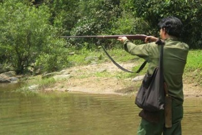 Đi săn, bắn một phát trúng đầu bạn vì thấy giống ... khỉ