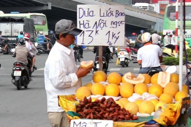 Dân Việt 'tráng miệng' hết veo 11.000 tấn dưa vàng Trung Quốc