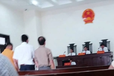 Trường Hải Thaco thua kiện vụ án tranh chấp chuyển nhượng góp vốn
