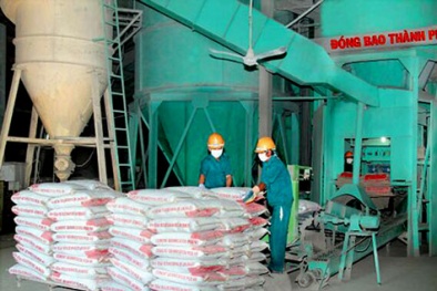 Xí nghiệp Xi măng 406 đẩy mạnh áp dụng 7 công cụ thống kê