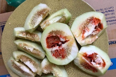  Có hay không dưa lê tiêm chất kích ngọt?
