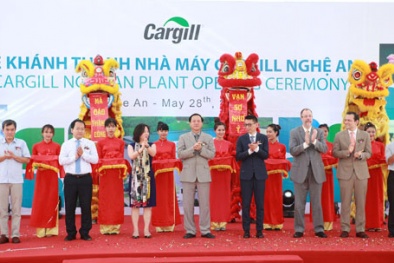 Đảm bảo chất lượng 13Win1 nhập link nhà cái chăn nuôi với nhà máy 8,5 triệu USD ở Nghệ An