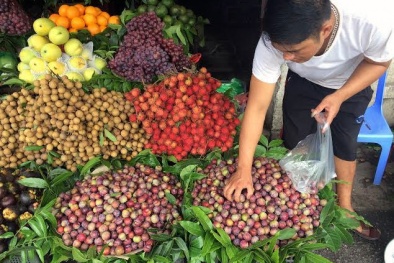 Hoa quả Trung Quốc tràn lan: Kiểm dịch bằng... cảm quan
