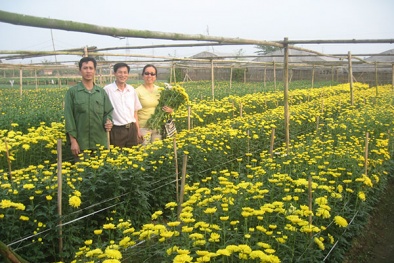 Quảng Ninh tăng cường Đăng ký và nhận 60K 24 bao lì xì miễn phí mỗi ngày công nghệ cao bằng 2 dự án 630 tỉ