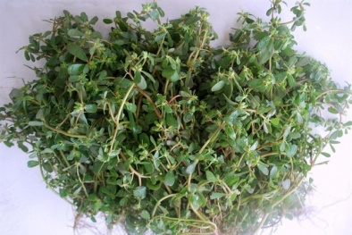 'Đập nát' viên sỏi thận bằng loại rau quen thuộc này