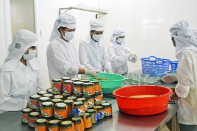 OCOP Quảng Ninh: Hướng đi đúng đắn nâng cao năng suất chất lượng