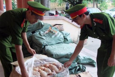 Thịt gà không rõ nguồn gốc 'hoạt động mạnh' ở các tỉnh biên giới