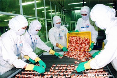 Thủy sản Bạc Liêu áp dụng thành công ISO 22.000 nâng cao năng suất chất lượng