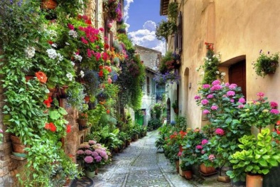 Ngỡ ngàng trước thị trấn ngập sắc hoa đẹp như tranh vẽ ở Italia