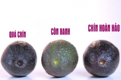 Cách chọn, ăn bơ tốt nhất cho 13Win19 ưu đãi hấp dẫn không phải ai cũng biết