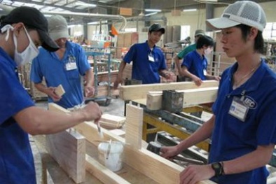 Khánh hòa đầu tư hơn 35 tỷ đồng hỗ trợ DN nâng cao năng suất chất lượng 
