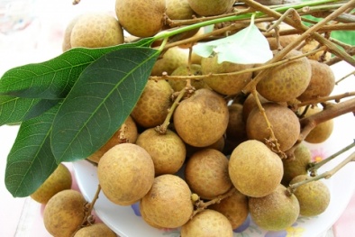 Coi chừng muốn ăn nhãn lồng Hưng Yên lại mua phải nhãn ướp hóa chất! 