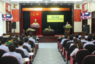 X20 tập trung nâng cao năng suất chất lượng