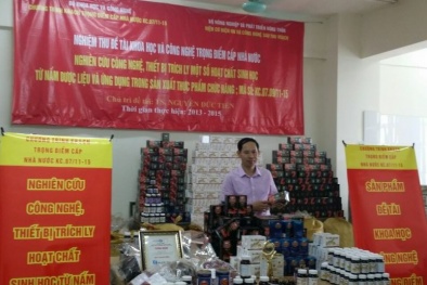 Chiết xuất hoạt chất sinh học nấm bằng sóng siêu âm